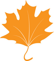 Obraz premium Maple leaf