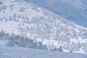 森吉山の霧氷、冬山、樹氷