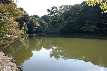 Fototapeta na wymiar tokyo garden zen