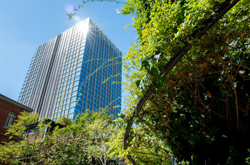 Fototapeta na wymiar 東京の高層ビルと太陽光