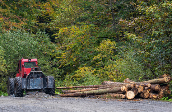 A forestry tractor in the forest