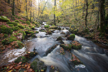 cascade de Brisecou près d'Autun en Bourgogne en automne