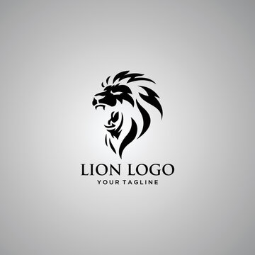 Lion logo vector illustration, emblem design
