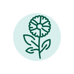 Chamomile olor line icon. Pictogram for web page