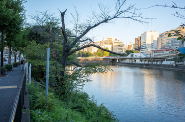 Fototapeta premium 千代田区立外濠公園