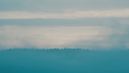 Carpathian mountains with fog at dawn