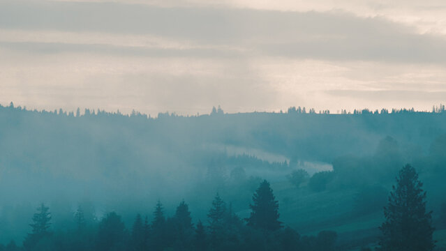 Carpathian mountains with fog at dawn © vadimys