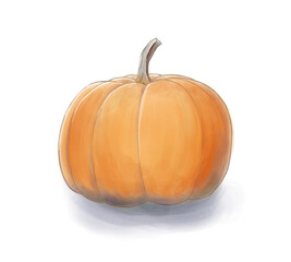 Watercolor Pumpkin hand drawn illustration 