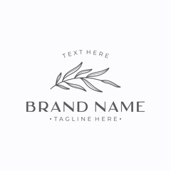 hand drawn organic botanical logo