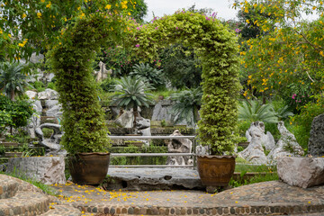Ornamental shrub grows in large clay pots. Blooming trees grow all around. In the background are palm trees among decorative stones.