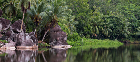 tropical lagoon with palm trees