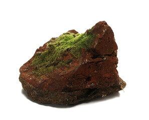 Green moss on old red brick isolated on white  