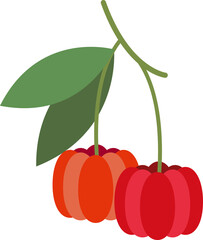 Colorful food fruit pitanga