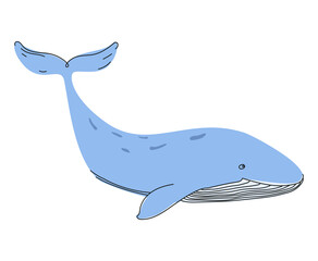 Fairy whale in doodle style on a transparent background.