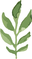 watercolor minimal design floral