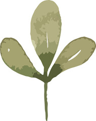 watercolor minimal design floral