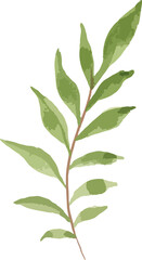 watercolor minimal design floral