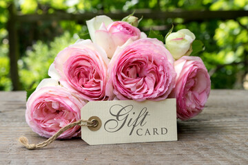 Gift certificate with a bouquet of pink roses