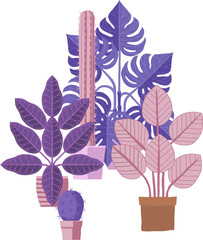 House plants or houseplants in pots stylised cartoon illustration