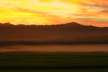 岩手県北上市　朝焼けの田園風景