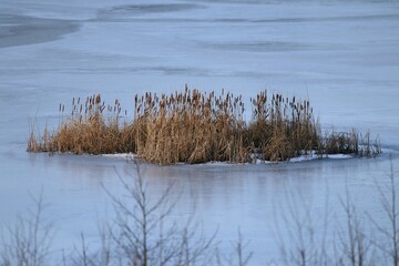jezioro © Micha