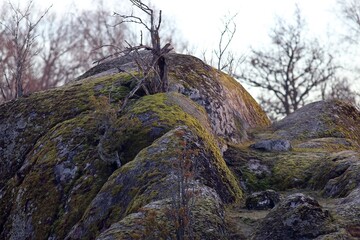 skały © Micha