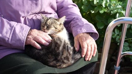 Longevity concept, wrinkled hands. An older woman 97 years old , a long-liver near a private house, sits on a bench and strokes her kitten. Grandmother has difficulty walking, she uses a walker for