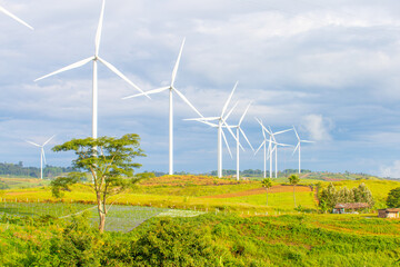 Wind farms for generating electricity, a clean alternative energy that does not cause pollution and negatively affect the global climate change.