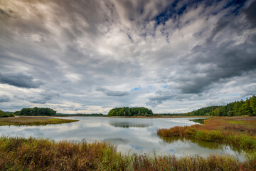 beautiful South Bohemian landscape, pond with reeds, Czech Republic, Europe
