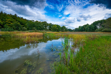 beautiful South Bohemian landscape, pond with reeds, Czech Republic, Europe
