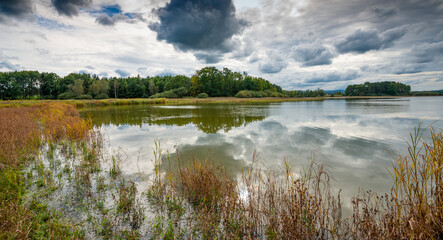 beautiful South Bohemian landscape, pond with reeds, Czech Republic, Europe