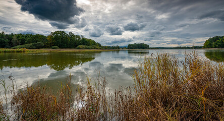 Fototapeta na wymiar beautiful South Bohemian landscape, pond with reeds, Czech Republic, Europe