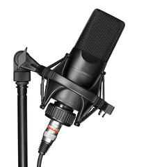 Black studio Microphone. Modern mic on a stand - obrazy, fototapety, plakaty
