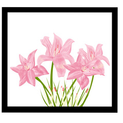 Lily Flower Vector Can use for Background for your Wall. This can use for design in your badroom, home, poster, etc.