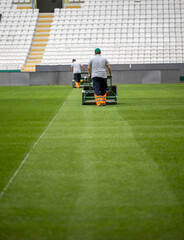 Maintenance of the lush green football field