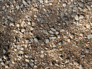 gravels on the ground