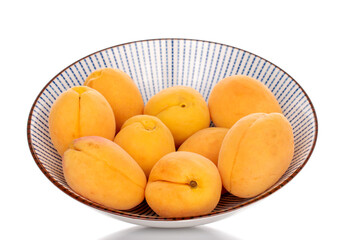 Several ripe pineapple apricots in a ceramic plate, close-up, isolated on white.