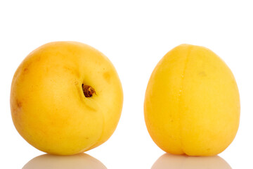 Two organic pineapple apricots, close-up, isolated on white.