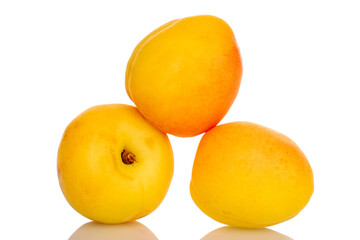 Three juicy pineapple apricots, close-up, isolated on white.