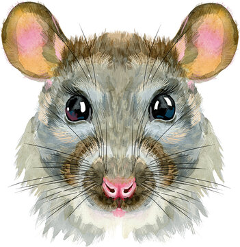 Watercolor portrait of rat with splashes