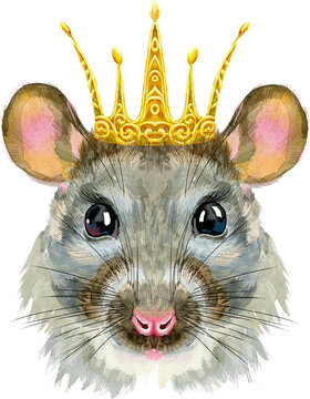 Watercolor portrait of rat with golden crown