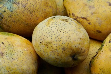 Mangoes in the market. Yellow color sweet Indian variety of mango fruit.