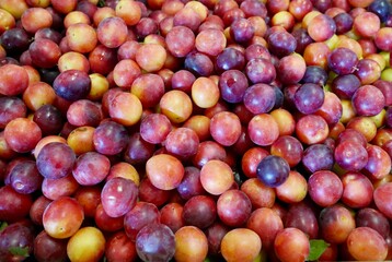 Delicious sweet plums on sale at local farmers market.