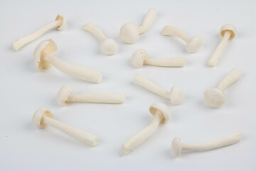 White shimeji mushroom on white background.