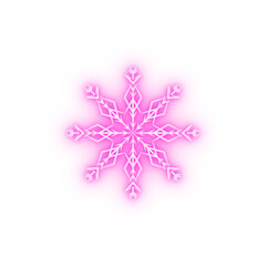 Snowflake neon icon
