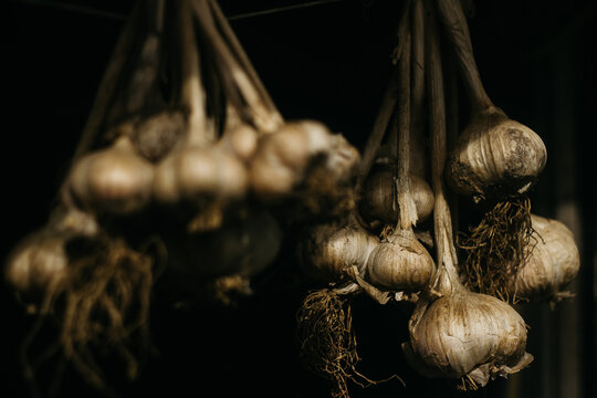 Dried garlic 
Garlic is drying in the yard 