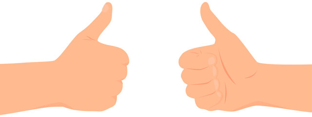 Two hands directed towards each other showing  thumb up gesture. White background. Flat vector illustration.