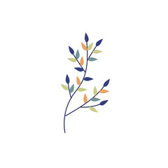 colorfull foliage botanical hand drawn decoration