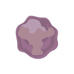 meteor rock from outer space