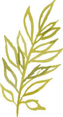 watercolor floral design hard drawn
